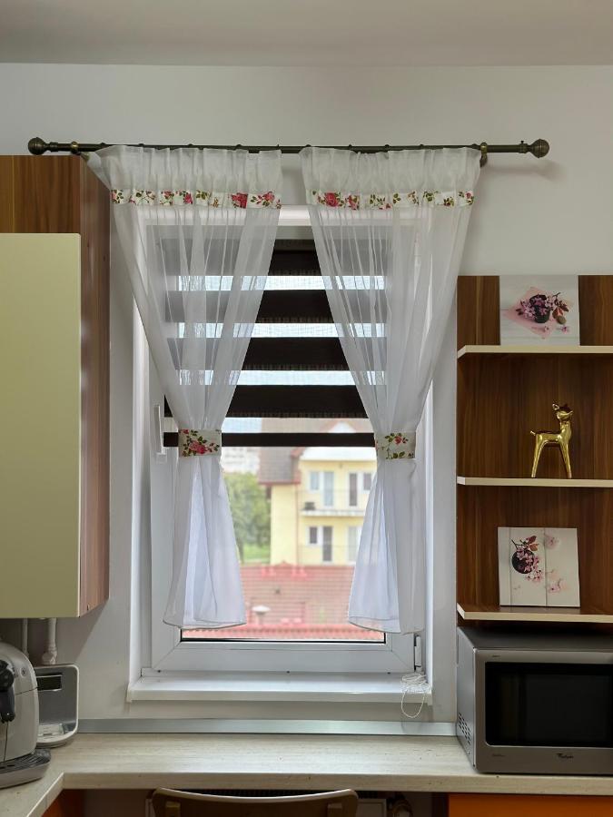 Apartament Iris Apartment Sibiu Bagian luar foto